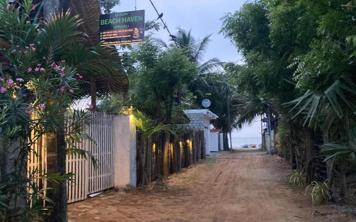 Ceylon Beach Haven Uppuveli Trincomalee Exteriér fotografie