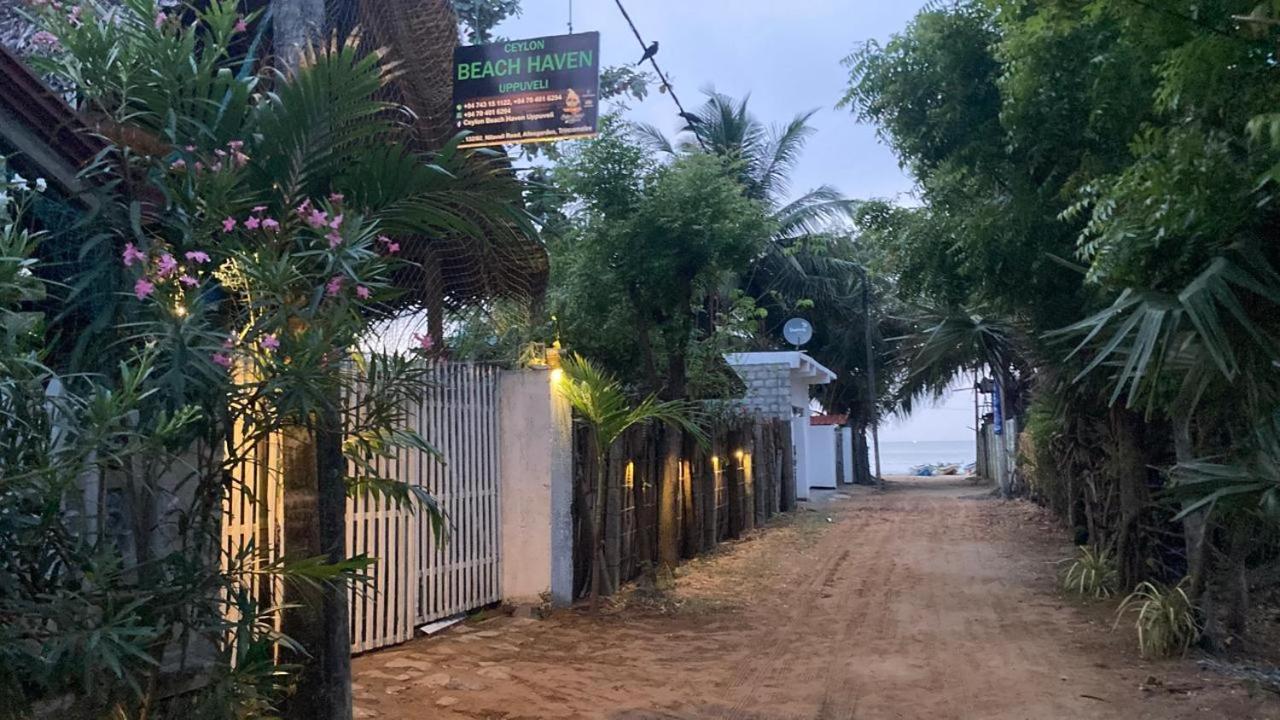 Ceylon Beach Haven Uppuveli Trincomalee Exteriér fotografie